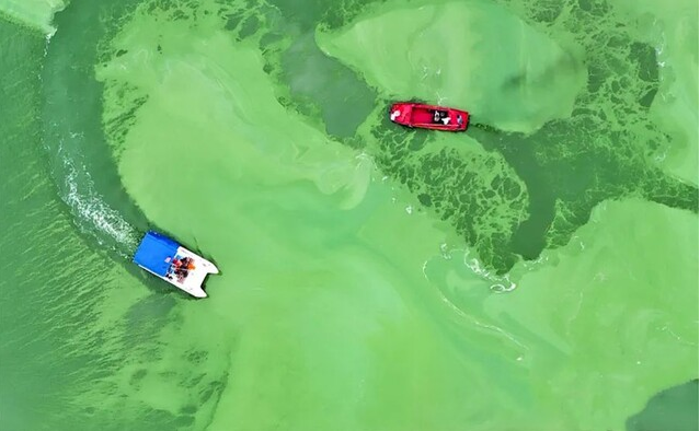 姑蘇盡枕河，無人機“智”助河湖巡檢